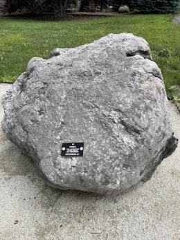 Rounded medium gray